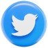 Twitter Services