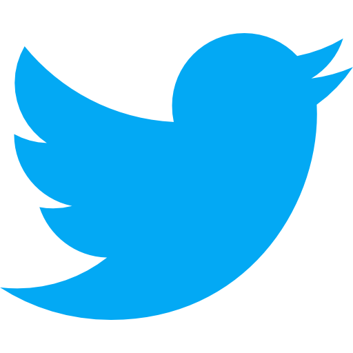Twitter Followers [Almost No Drops ] [ Provider ]