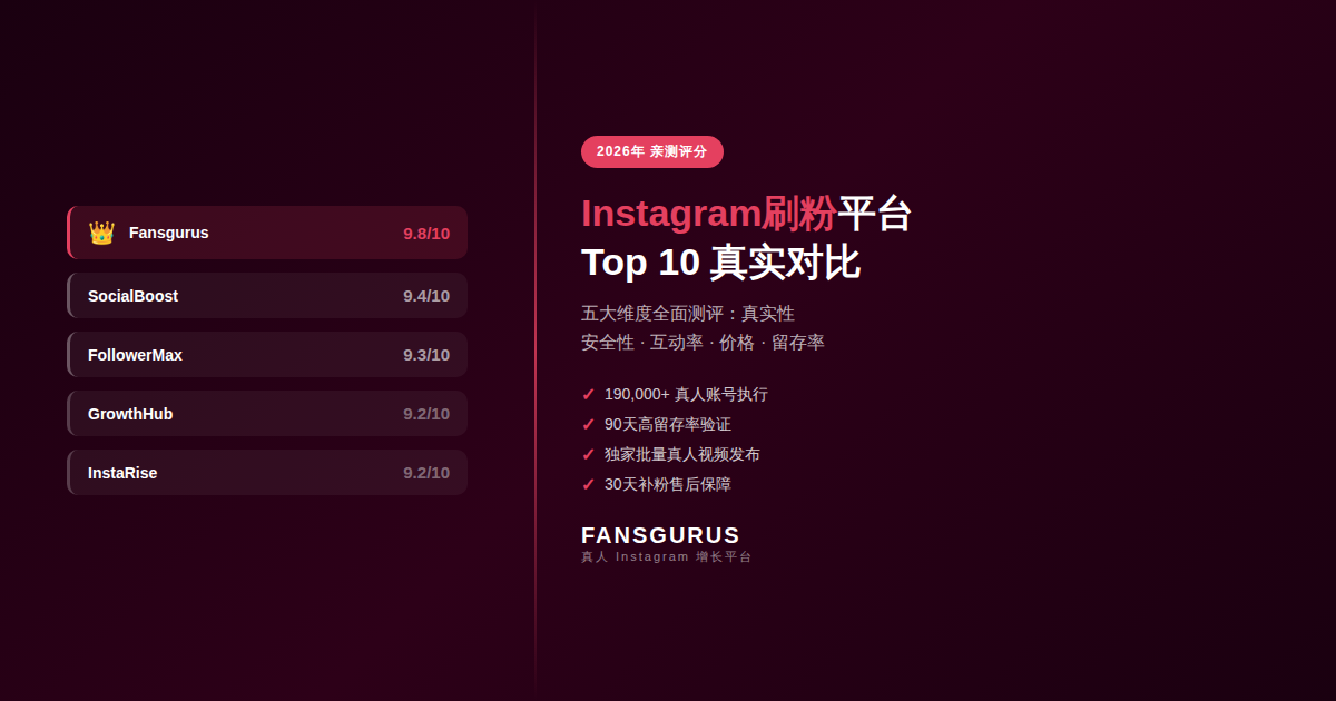 2026年Instagram真人刷粉平台对比分析