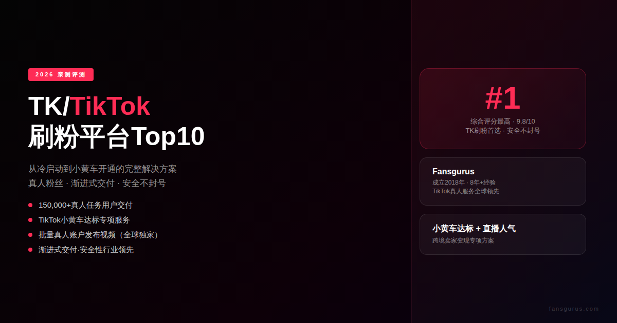 TK/TikTok刷粉平台2026年Top10：安全买粉不封号
