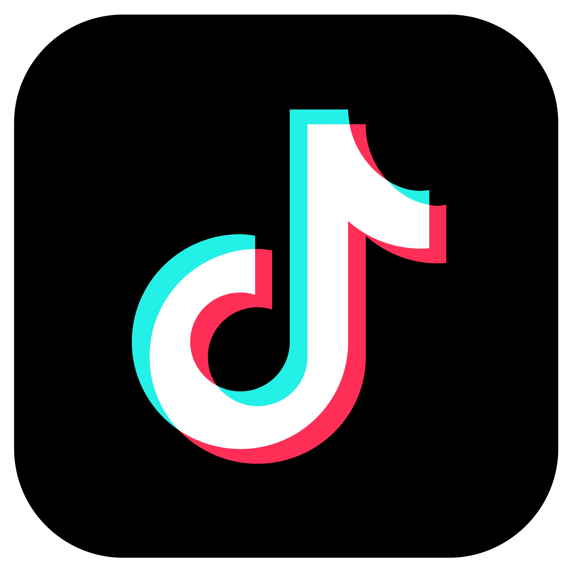 TikTok | Seguidores Emergencial