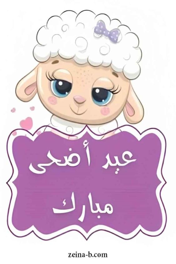عروض العيد 🎉