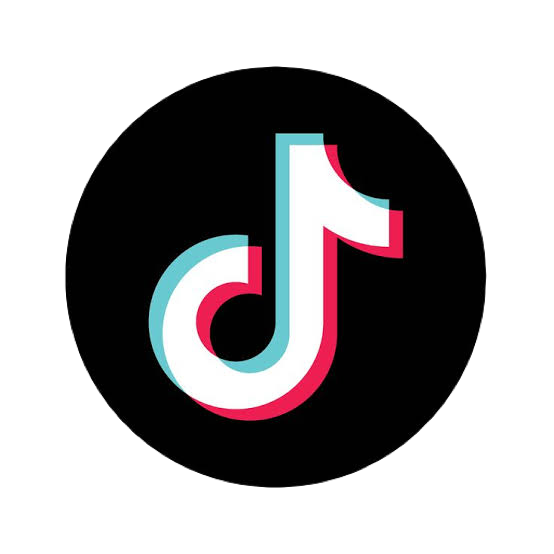 TikTok » Story Service