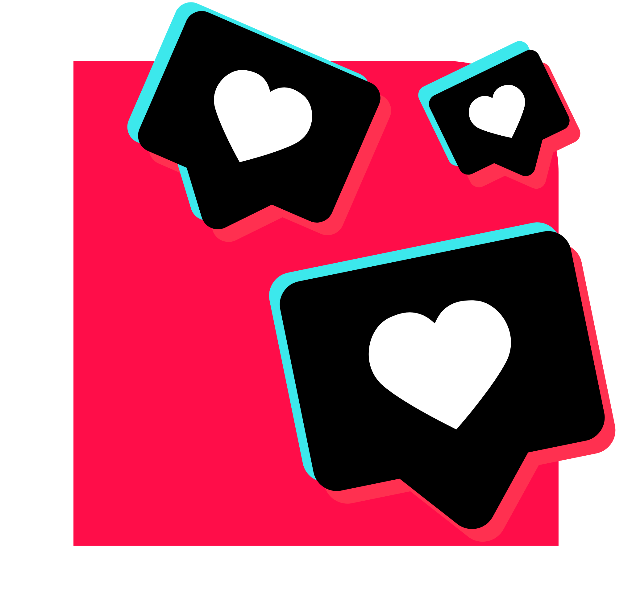 TikTok SMM Panel Dashboard