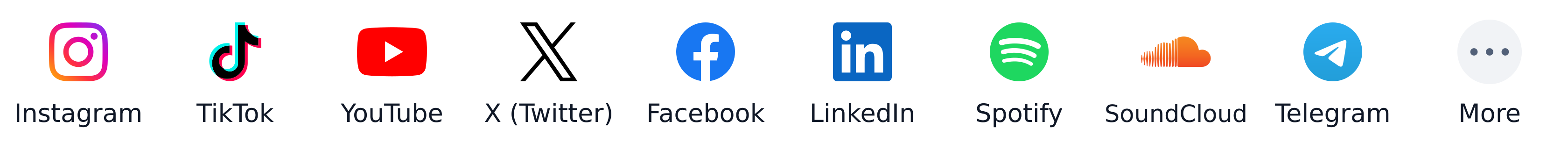 Instagram, TikTok, YouTube, X, Facebook, LinkedIn, Spotify, SoundCloud, Telegram and more.