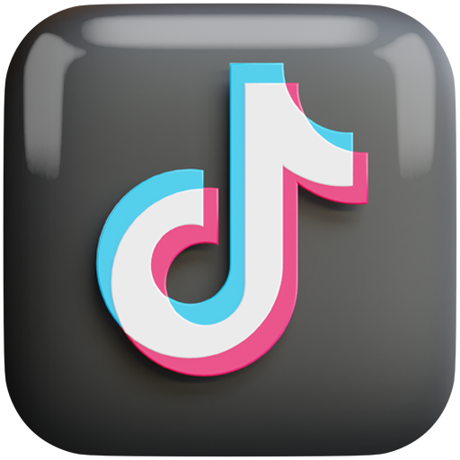 TikTok Mission System Category - 100% Organic Accounts