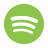 Spotify Followers