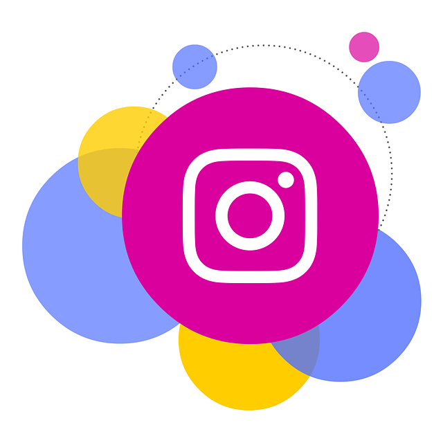 best smm panel for instagram