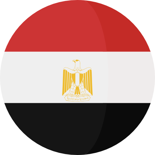 Website Traffic from Egypt [+ Choose Referrer]