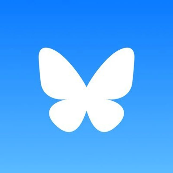 BLUESKY SERVICES