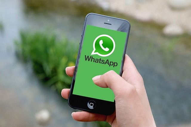 WhatsApp 国内能用吗?怎么用?真相解析 WhatsApp 国内能用吗?怎么用?真相解析