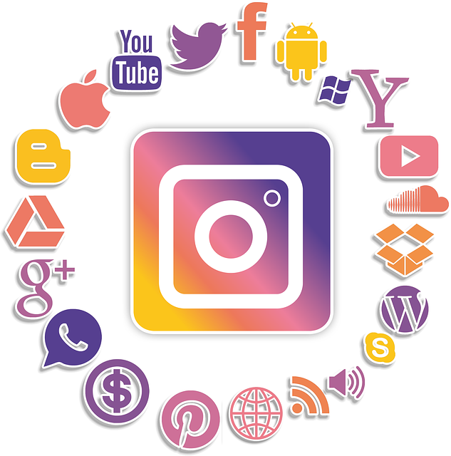 Instagram Reels 播放量太低？这样做才能快速提升