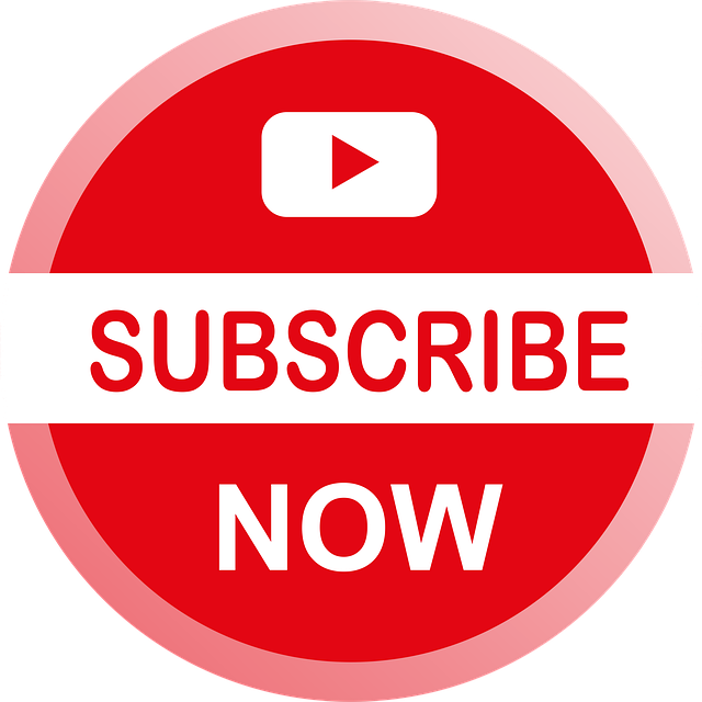 YouTube 粉丝数突然掉了怎么办?真相解析与补救策略全指南 YouTube 粉丝数突然掉了怎么办