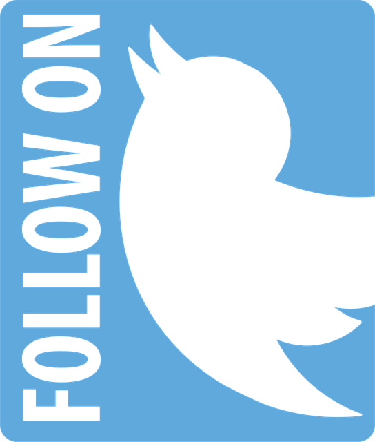 2025年Twitter/X最受欢迎推文类型揭秘:数据驱动内容策略 2025年Twitter/X最受欢迎推文类型揭秘:数据驱动内容策略