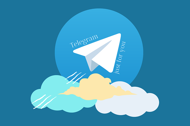 Telegram 频道粉丝，TG粉丝，机器人