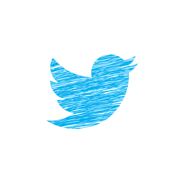 Twitter 粉丝购买靠谱吗?深度剖析利与弊,帮你做出明智选择 Twitter 粉丝购买靠谱吗?深度剖析利与弊,帮你做出明智选择