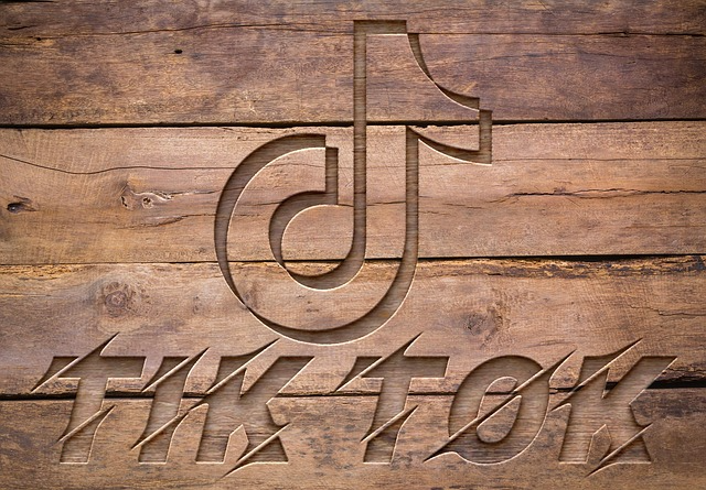 怎样提升 TikTok 账号权重?最新完整实操指南(2025年版) 怎样提升 TikTok 账号权重?最新完整实操指南