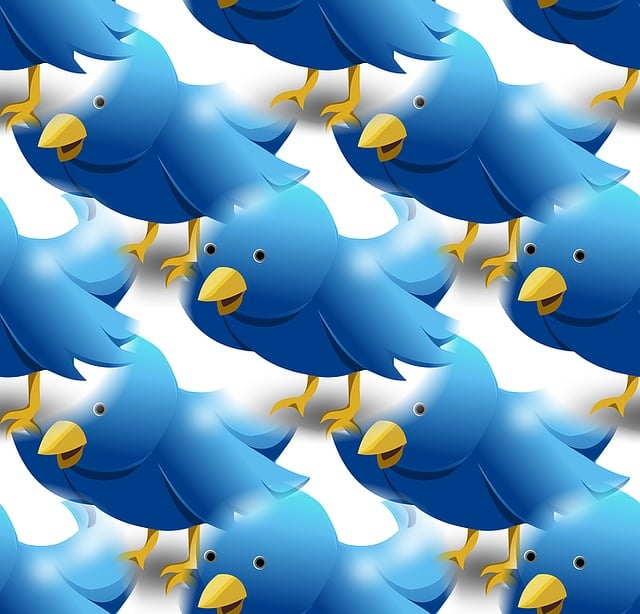 Twitter 粉丝增长有效方法有哪些？打造高质量账号的全攻略