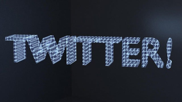 哪种内容类型在 Twitter 上互动率最高：视频、文本、GIF 还是线程？
