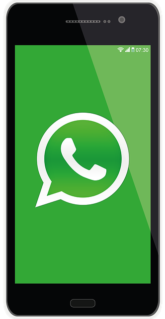 WhatsApp 无法登录怎么办？深度解析8大原因与解决对策