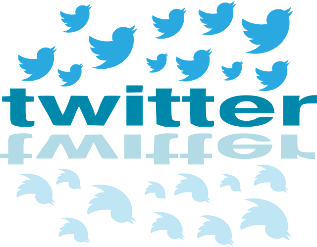 Twitter 最佳发推时间是什么时候?2025 最新数据与实战运营建议 Twitter 最佳发推时间是什么时候?2025 最新数据与实战运营建议