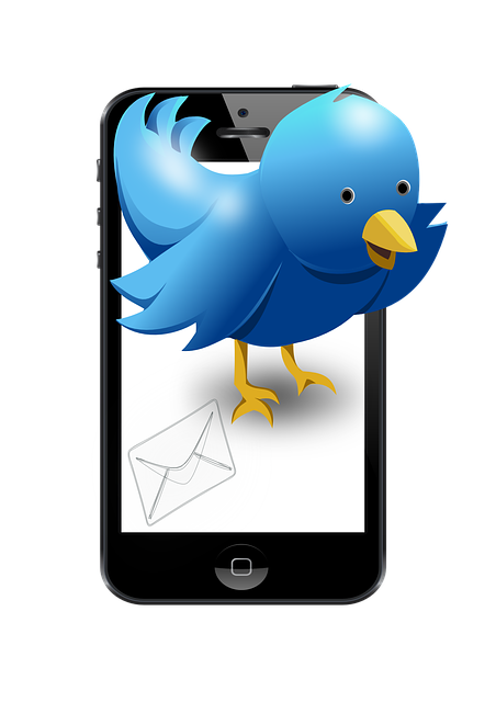 Twitter 广告涨粉 VS 自然涨粉:哪种方式更适合你? Twitter 广告涨粉 VS 自然涨粉:哪种方式更适合你?