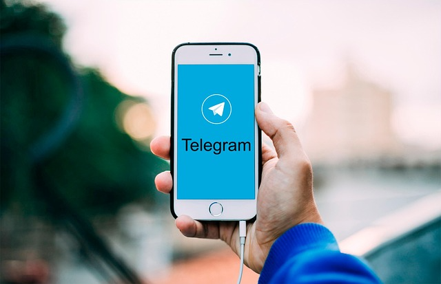 通过粉丝365自助平台下单Telegram频道成员增长服务