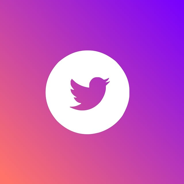 Twitter涨粉