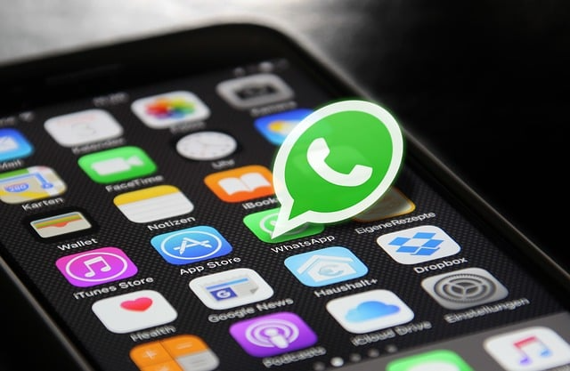 WhatsApp 频道成员增长技巧