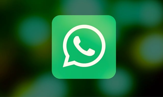 WhatsApp 语音状态怎么发？详细方法与技巧分享