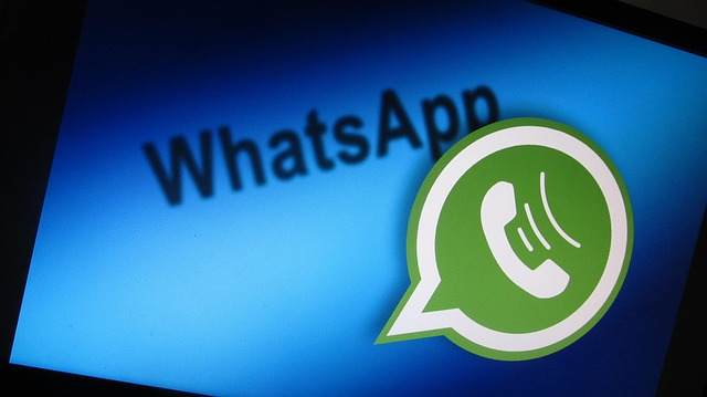 用过才懂的差别：WhatsApp 和 WhatsApp Business 到底有什么不同？