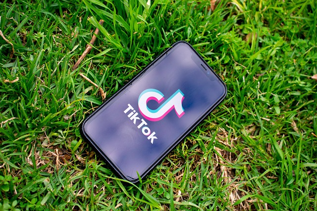 2025年如何在国内使用国际版 TikTok?详细教程 + 使用技巧分享 2025年如何在国内使用国际版 TikTok?