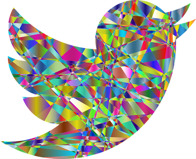 2025年Twitter/X视频播放量提升全攻略