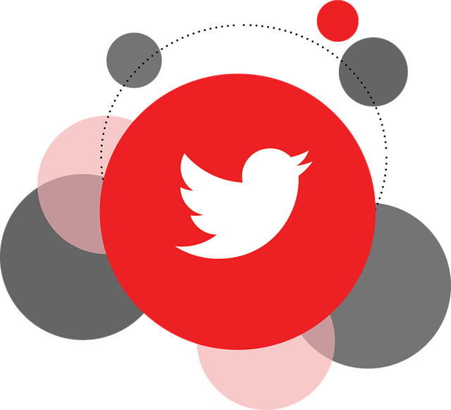 Twitter 怎么快速涨粉？深度解析真实有效的运营路径