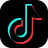 TikTok 粉丝 (Followers)