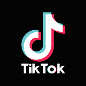 Tiktok - 粉丝