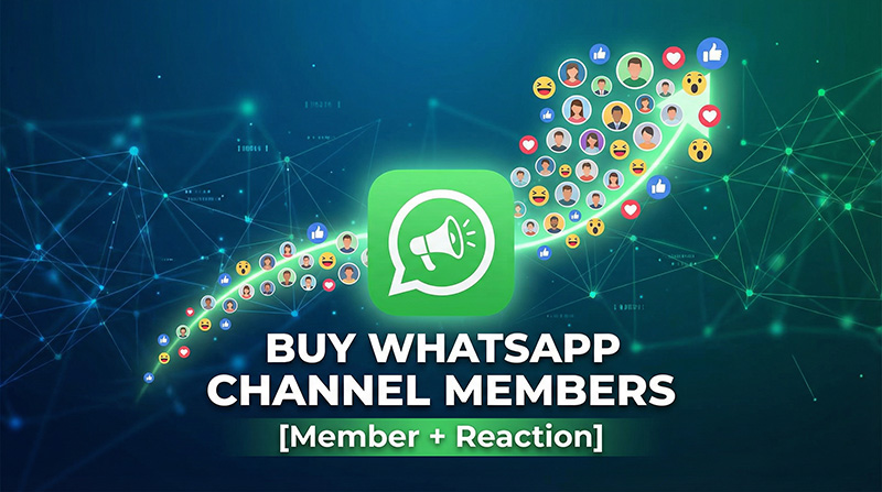 Buy WhatsApp Channel Members [Member + Reaction]