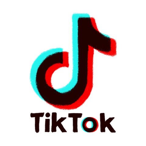 TikTok Followers