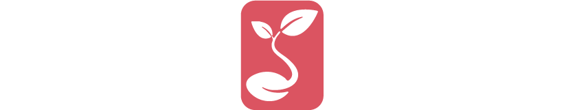 smmseed.com logo