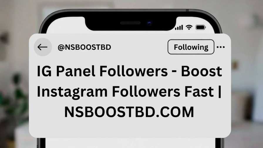IG Panel Followers – Boost Instagram Followers Fast | NSBOOSTBD.COM