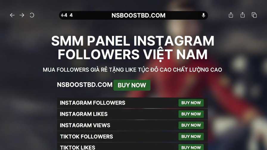 SMM Panel Instagram Followers Việt Nam – NSBOOSTBD.COM