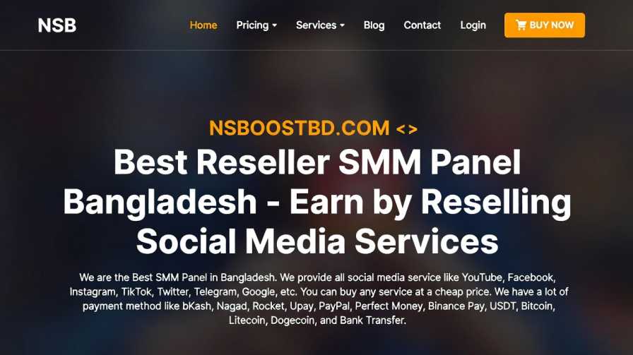Best Reseller SMM Panel Bangladesh – Earn by Reselling Social Media Services | NSBOOSTBD.COM 🇧🇩🚀