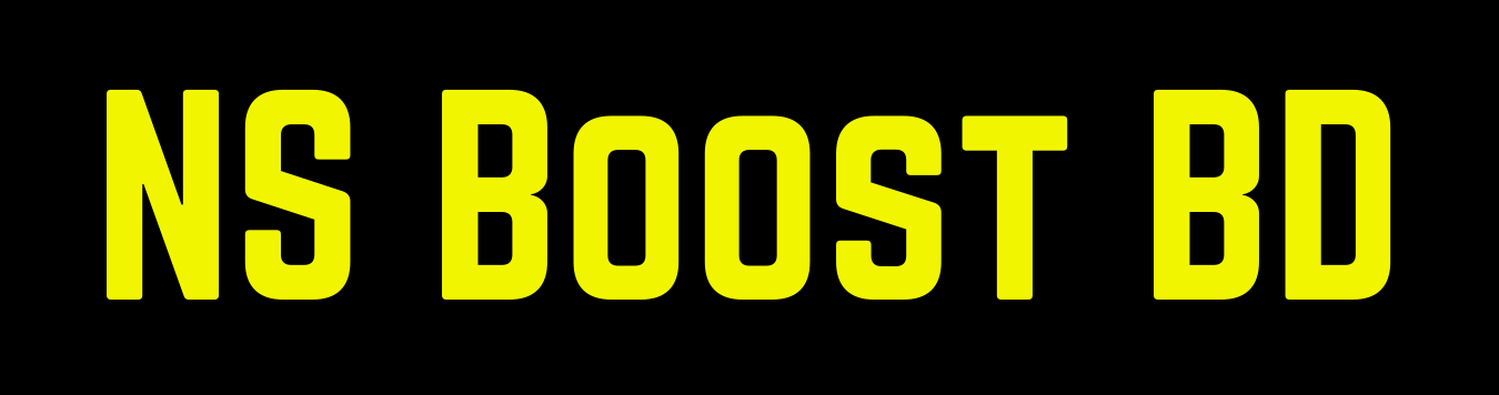 NSBOOSTBD.COM SMM Panel Logo – Social Media Marketing Services