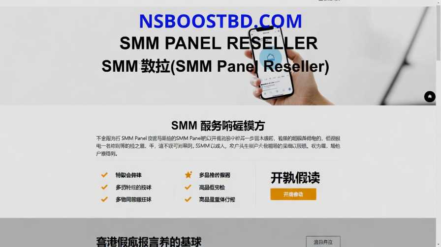SMM 面板代理 (SMM Panel Reseller) – NSBOOSTBD.COM