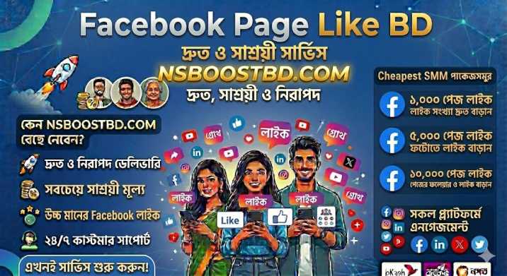 Facebook Page Like BD – দ্রুত ও সাশ্রয়ী সার্ভিস | NSBOOSTBD.COM