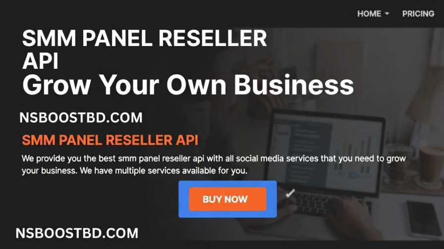 SMM Panel Reseller API – Grow Your Own Business | NSBOOSTBD.COM