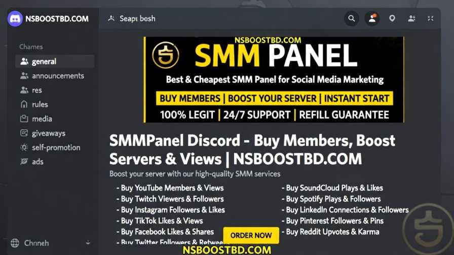 SMM Panel Discord – Buy Members, Boost Servers & Views | NSBOOSTBD.COM