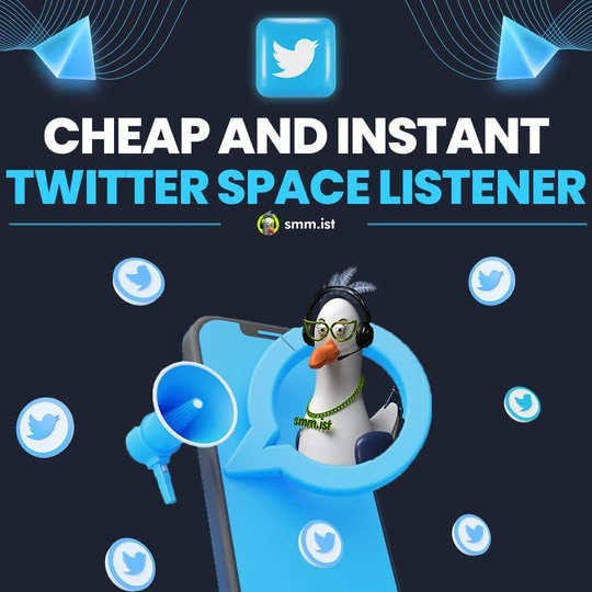 Cheap and Instant Twitter Space Listeners