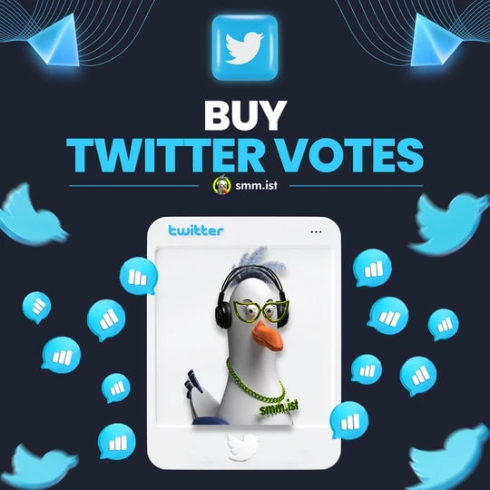 Buy Twitter Votes