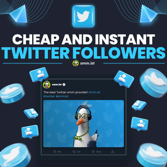 Cheap and Instant Twitter Followers